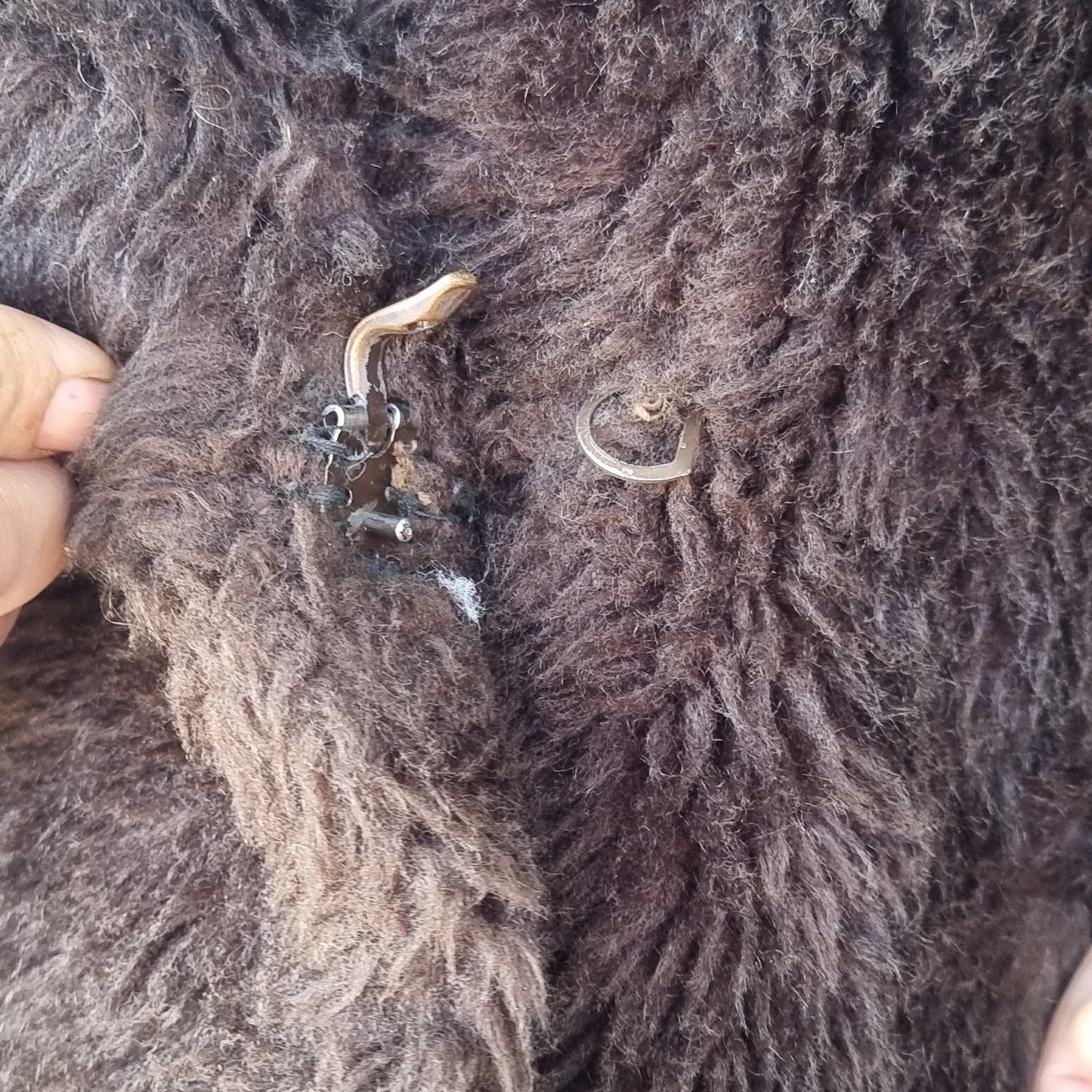Grizzly Bespoke Coat