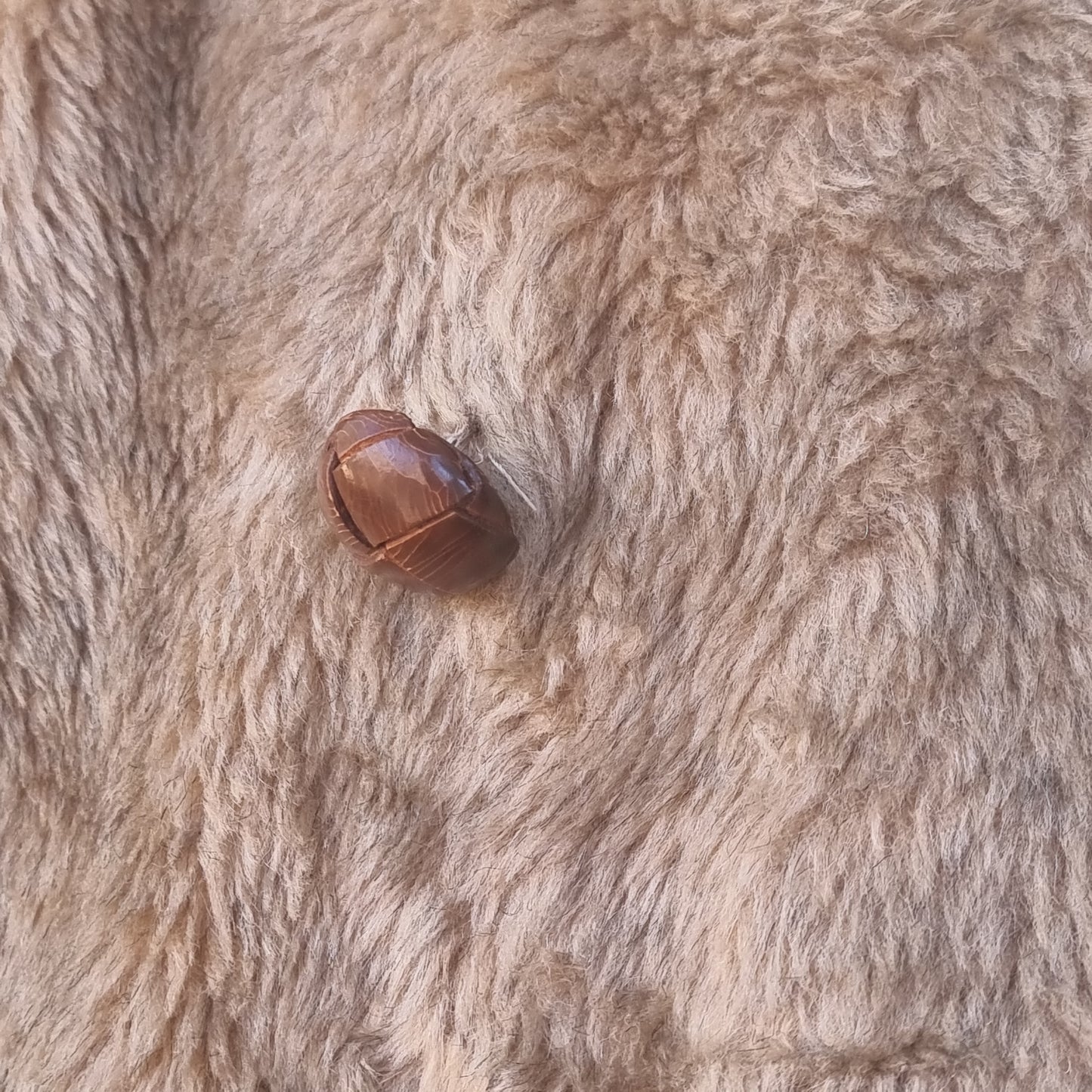 Ours en peluche Bespoke Coat