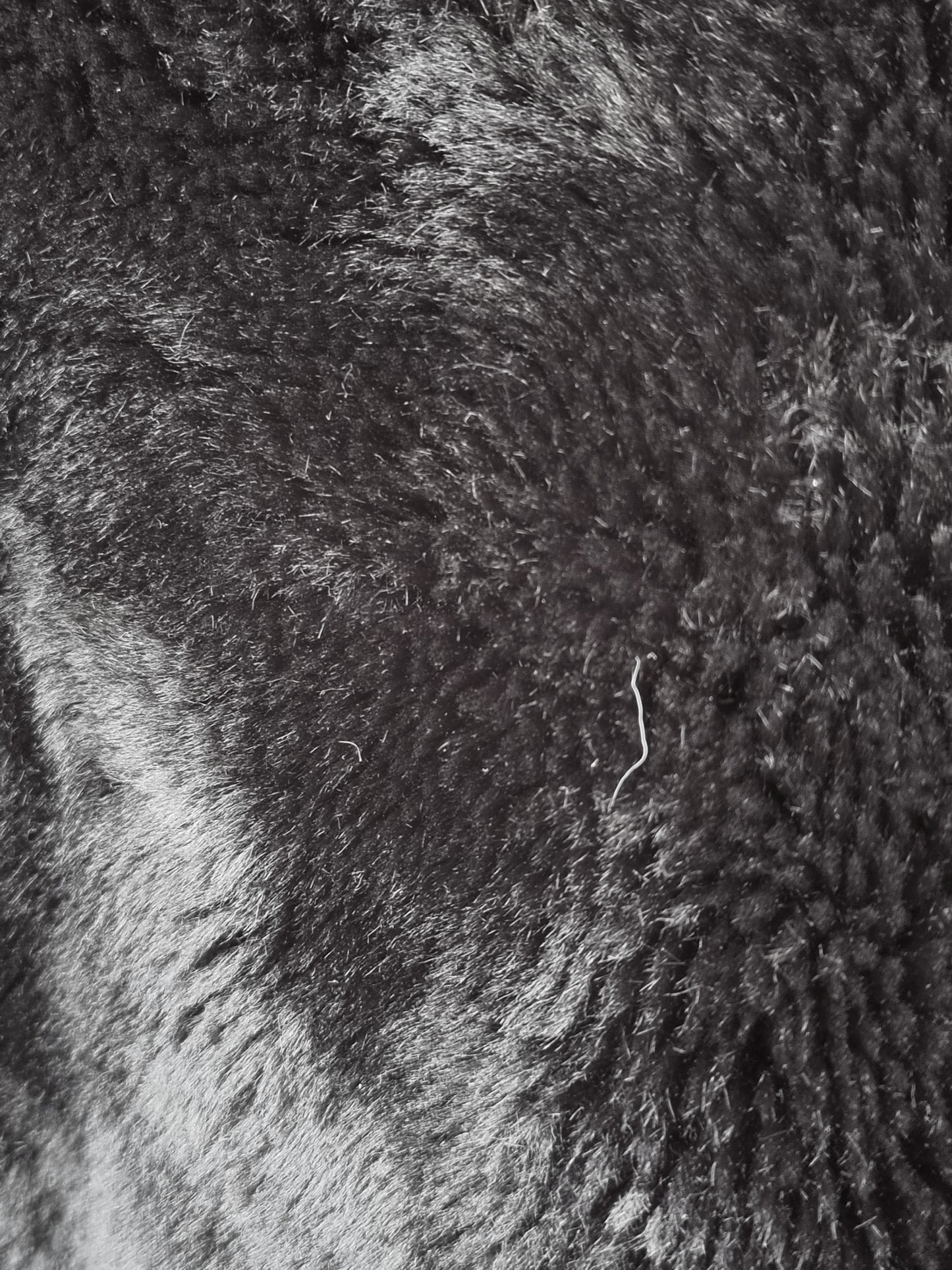 Blackout Hug Bespoke Coat