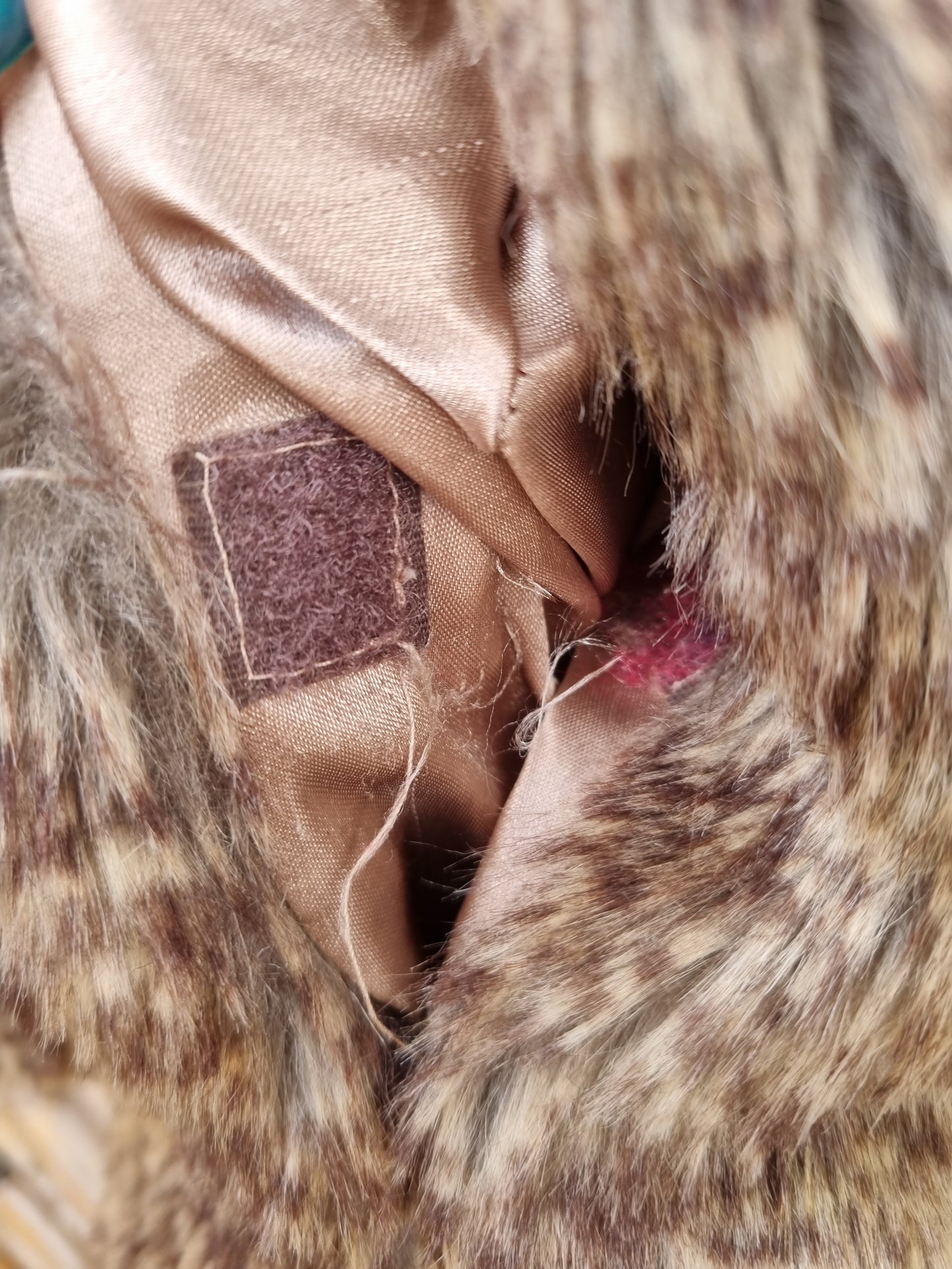 Bear Soul Bespoke Sleeveless Coat