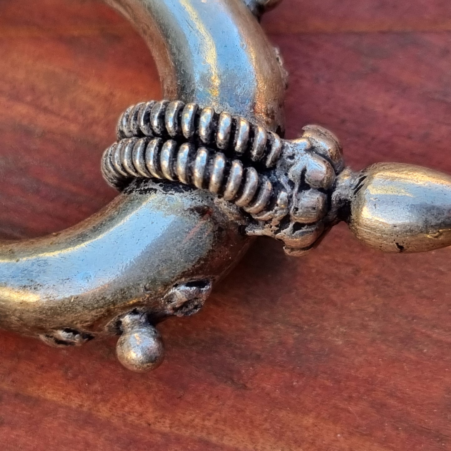 Warrior Wearer Earrings