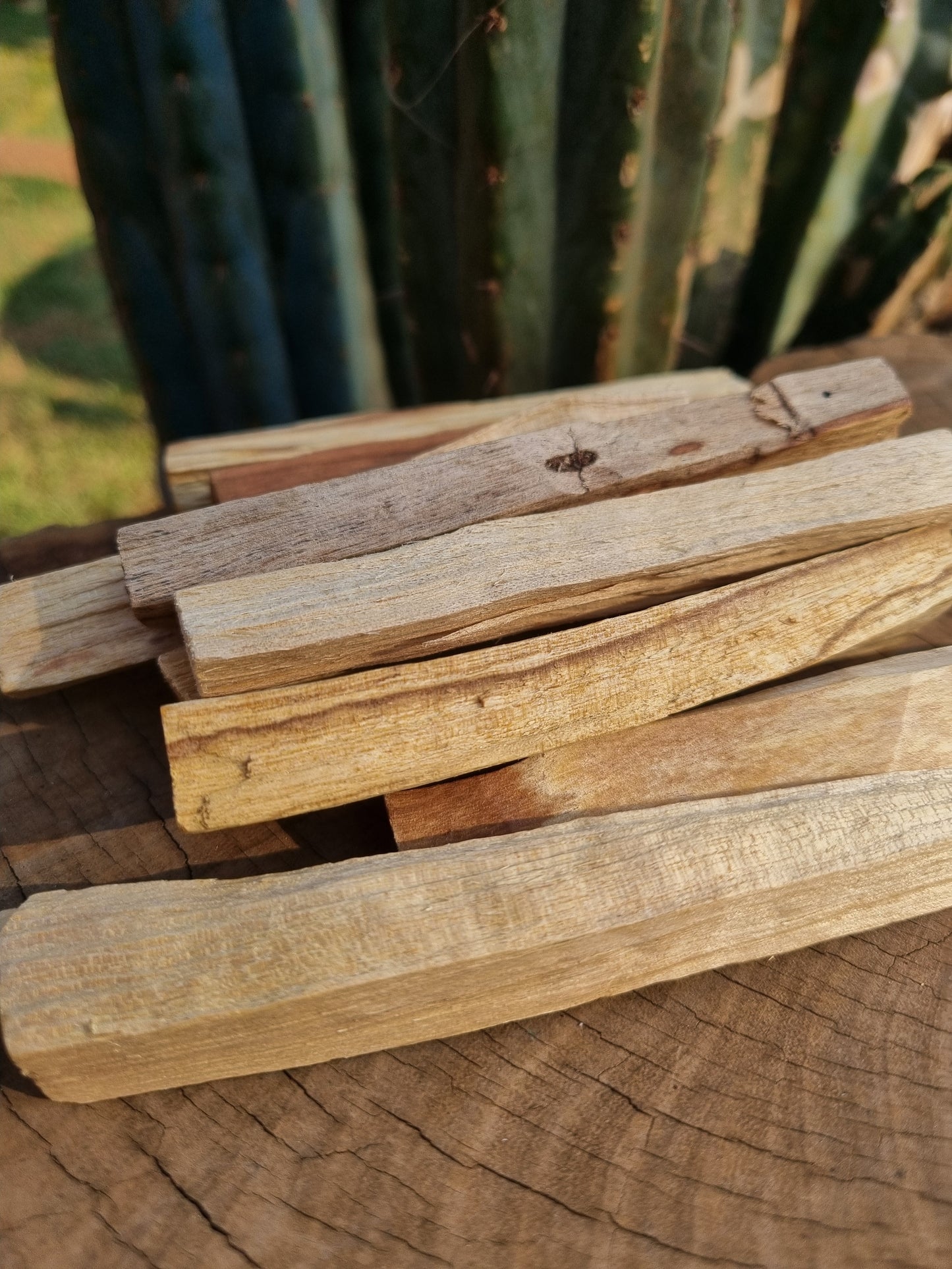 Palo Santo Wood