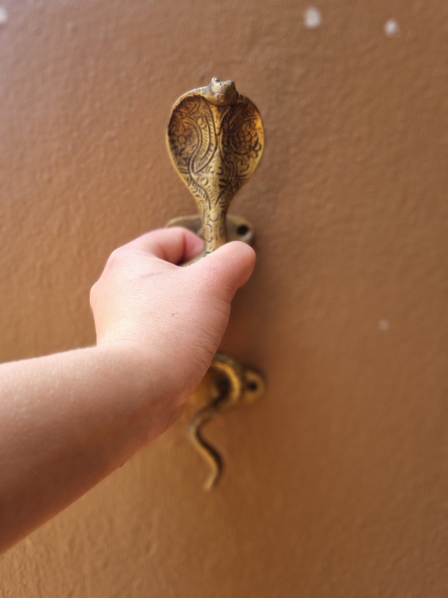 Solid Brass Cobra Door Handle