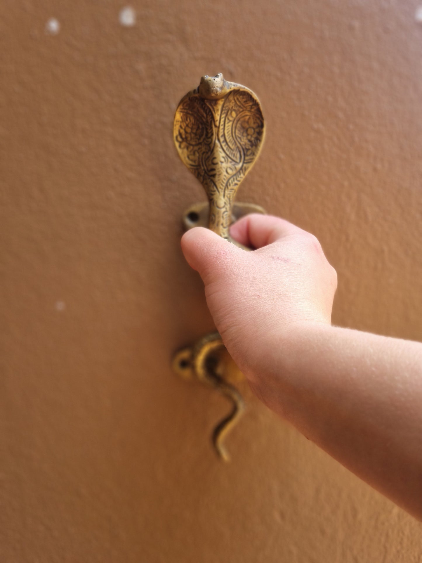 Solid Brass Cobra Door Handle
