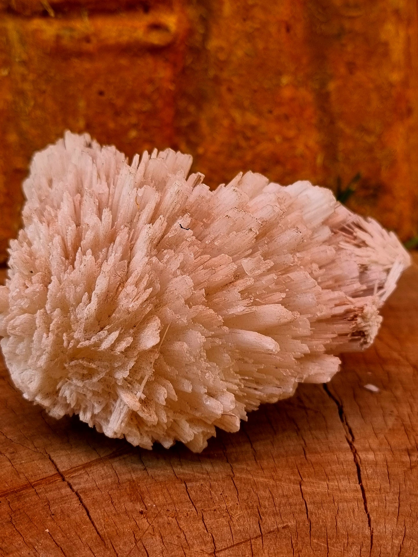 White Aragonite on Matrix