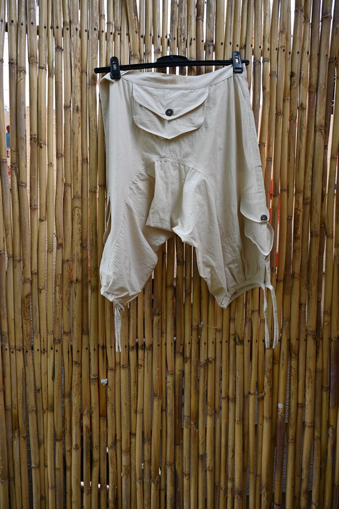 Aladdin Shorts