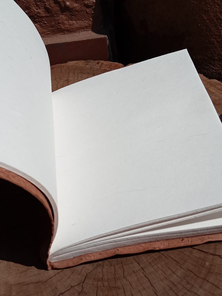 Dragon Rope Journal