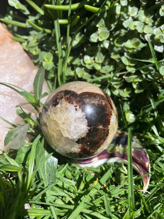 Septerye Sphere
