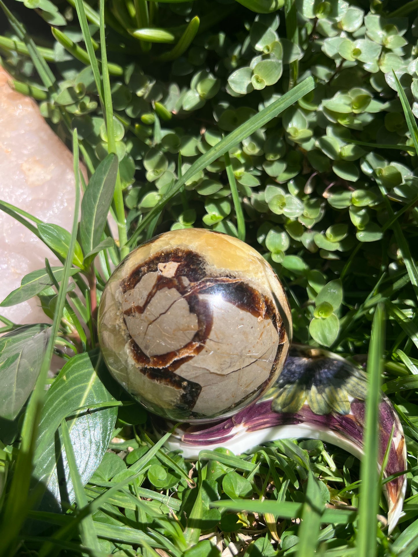Septerye Sphere