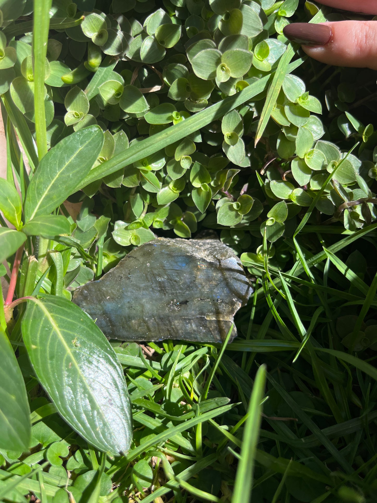 Labradorite Piece