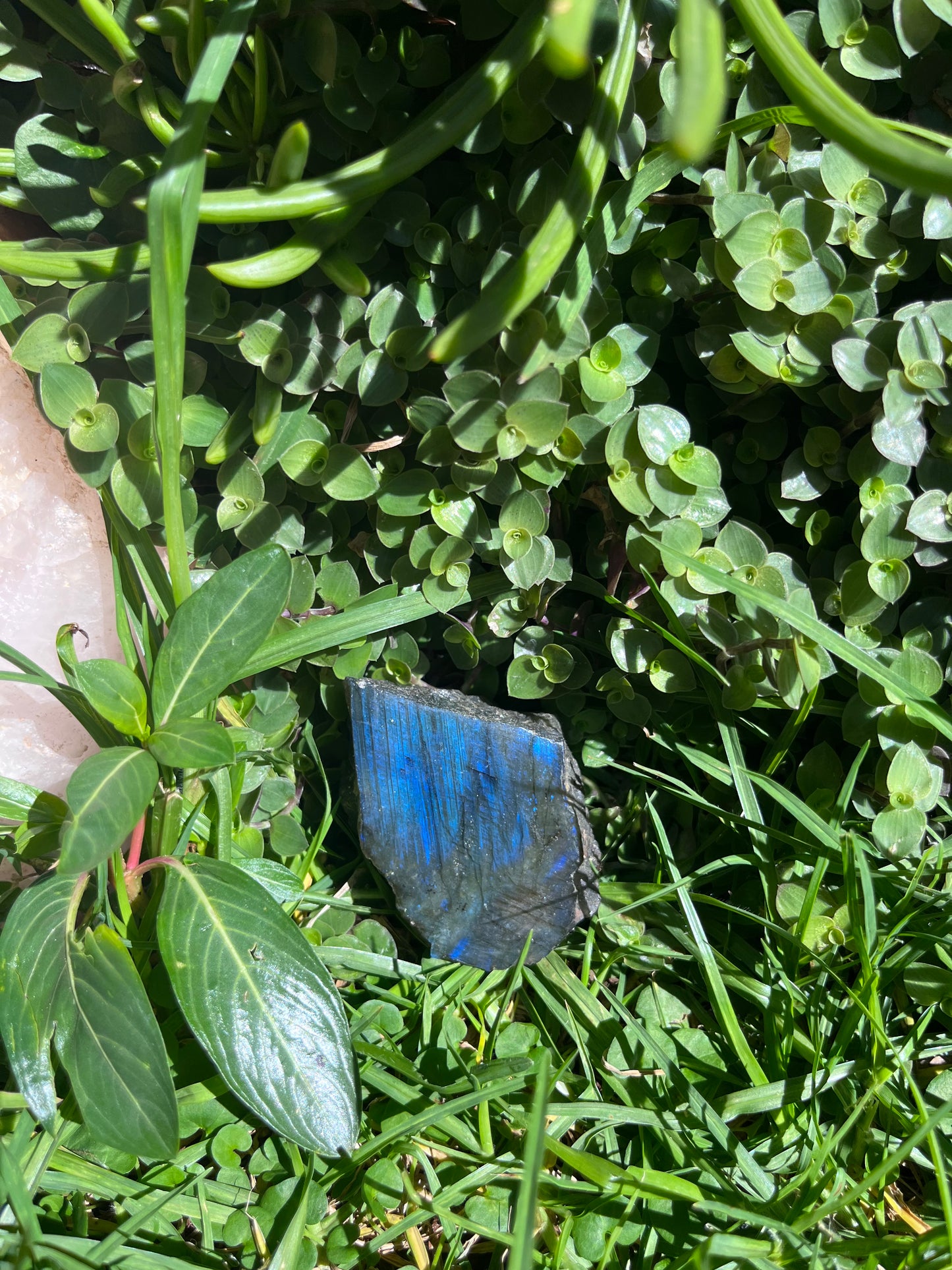 Labradorite Piece