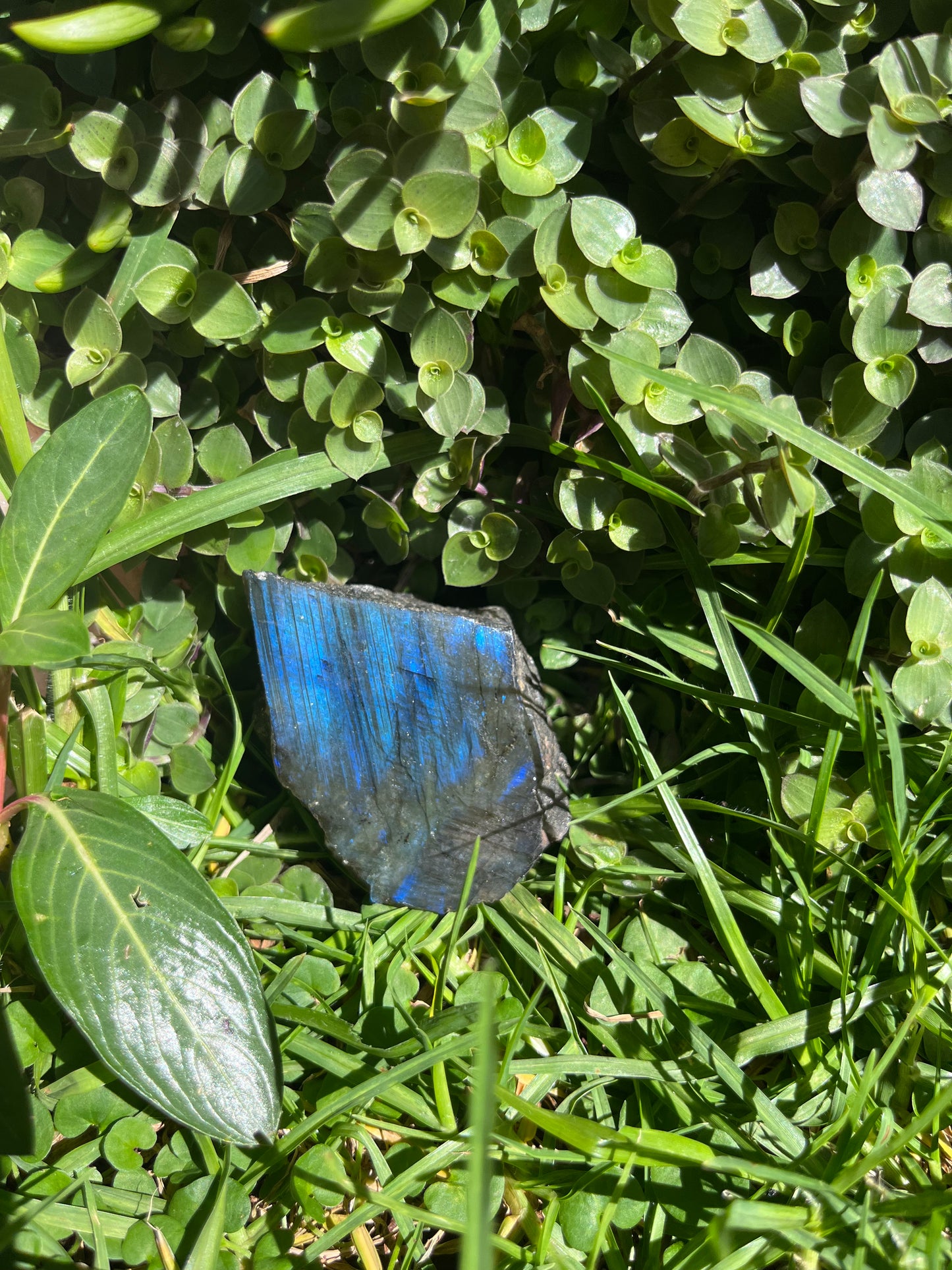 Labradorite Piece