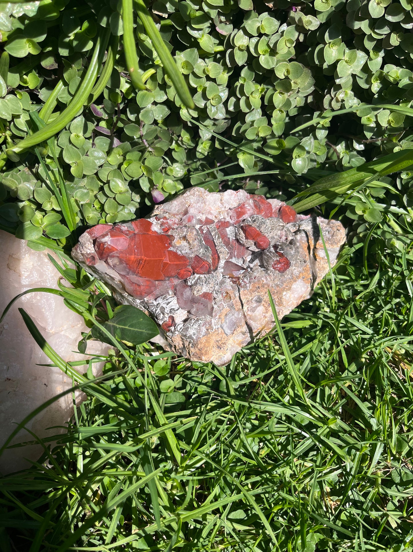 Hematoid Quartz Cluster