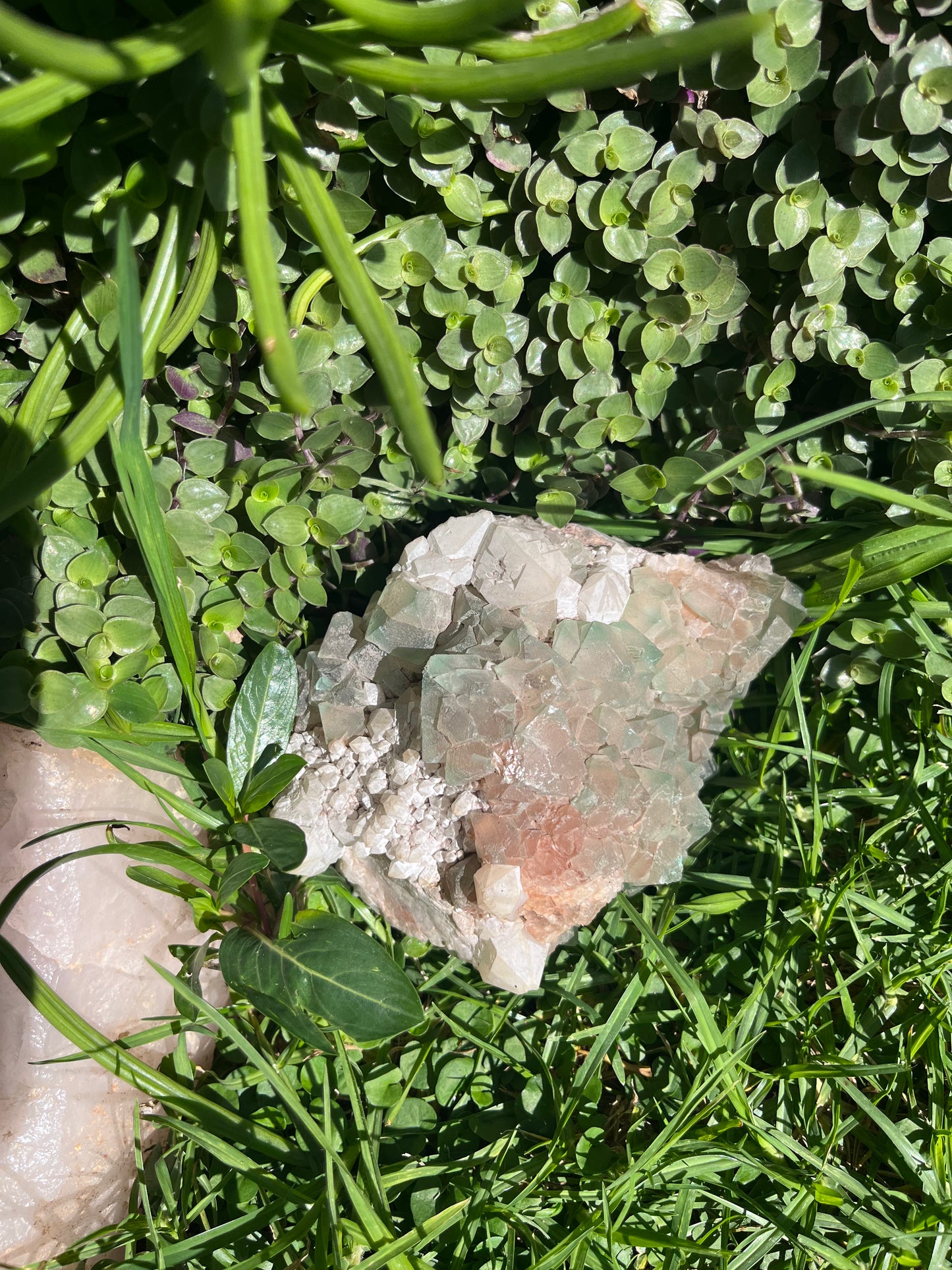 Green Fluorite Cluster