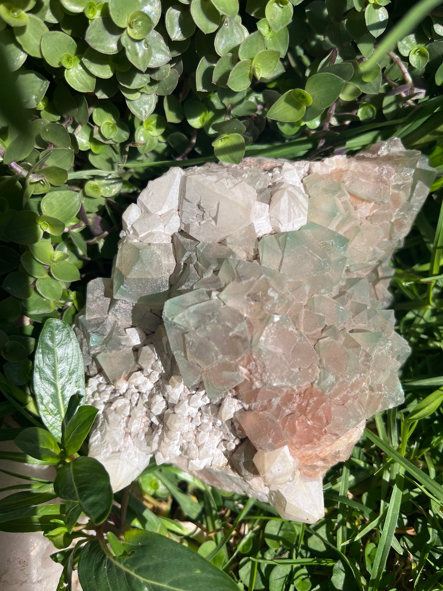 Green Fluorite Cluster