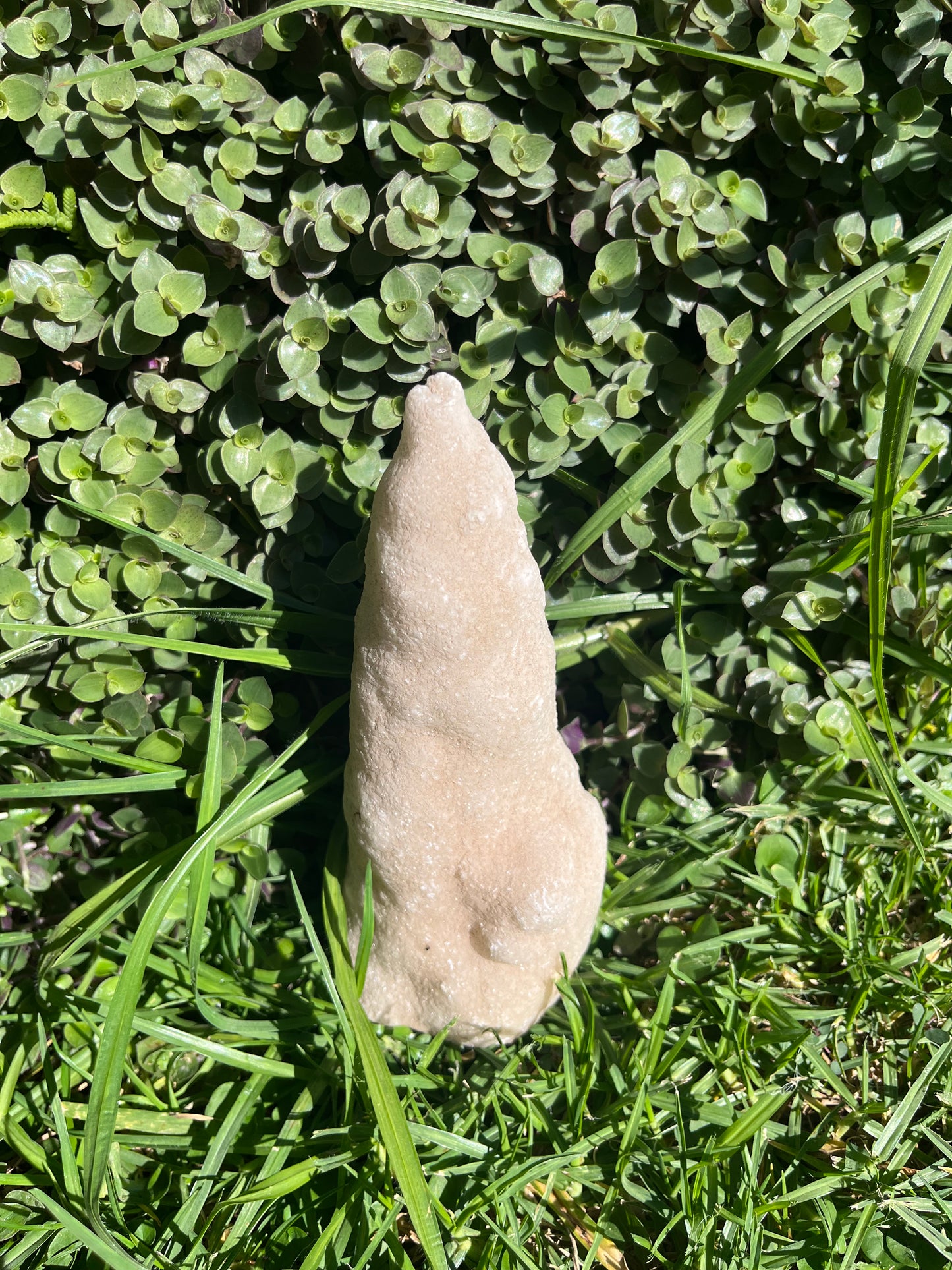Stalactite Drop