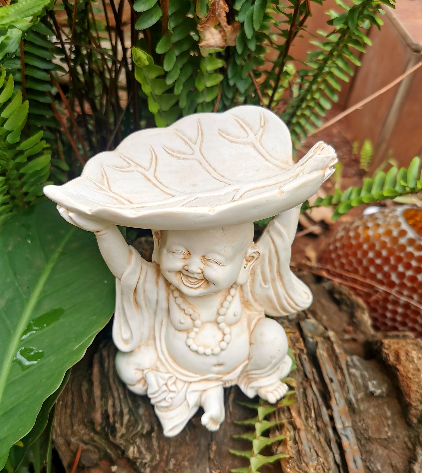 Baby Buddha