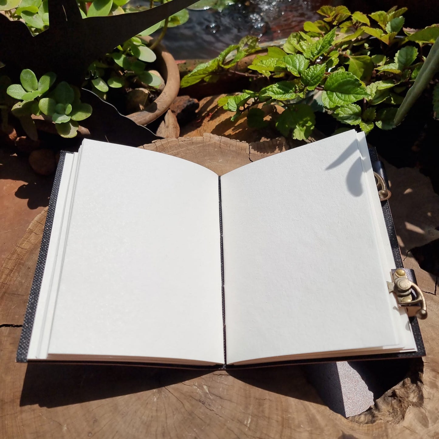 The Beholder's Leather Journal