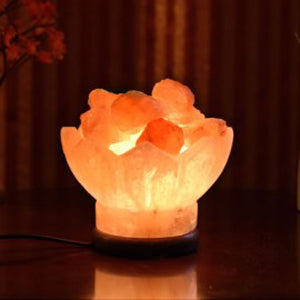 Himalayan Salt Firebowl Lamp