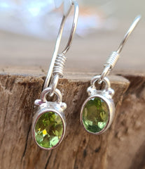 Sterling Silver Earrings