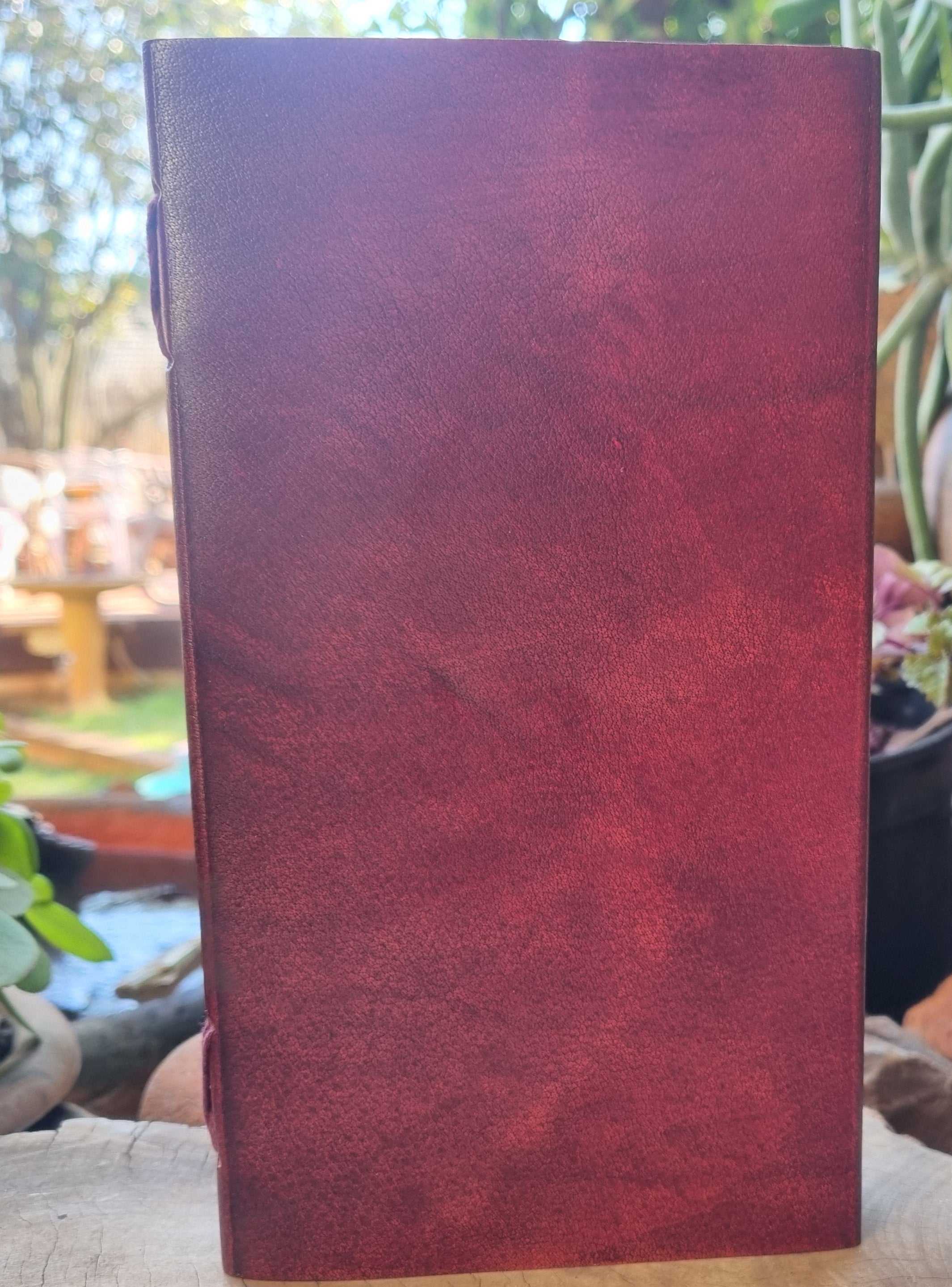 Blank Leather Journal