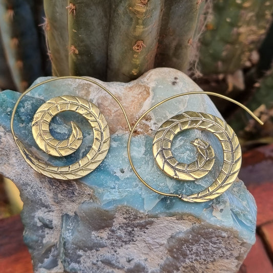 Feathered Spiral Brass Earrings