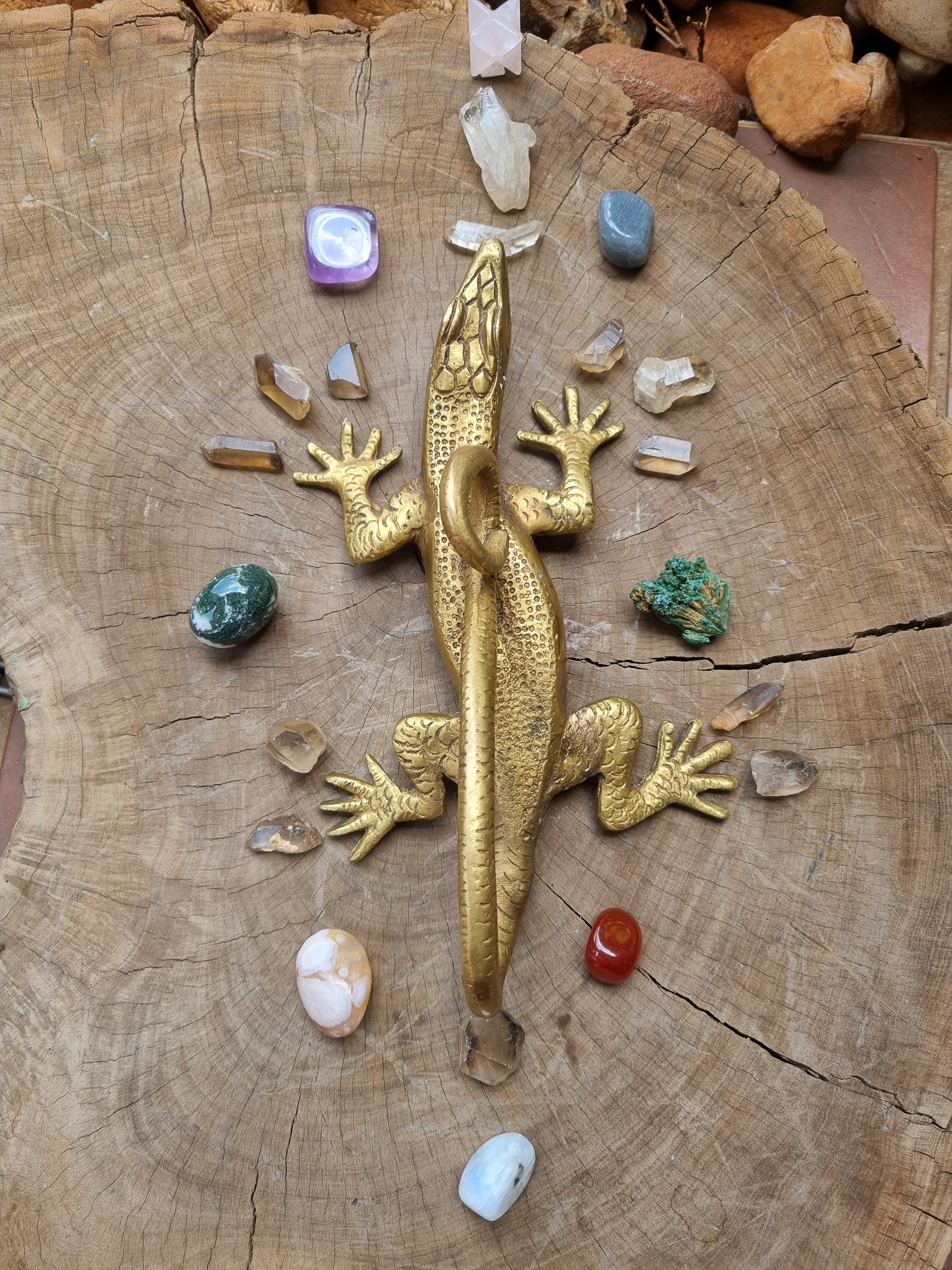 Solid Brass Gecko Door Handle