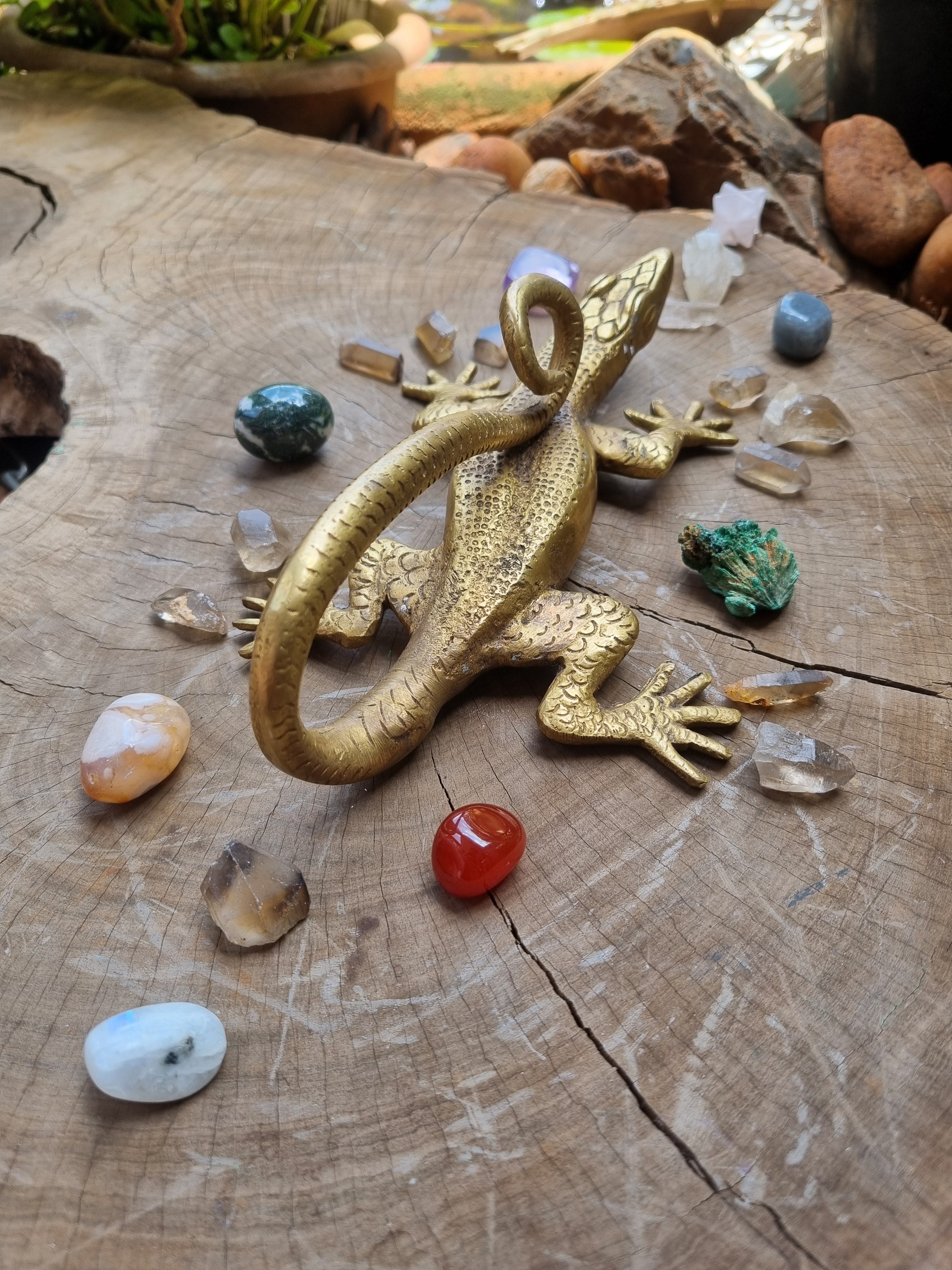 Solid Brass Gecko Door Handle