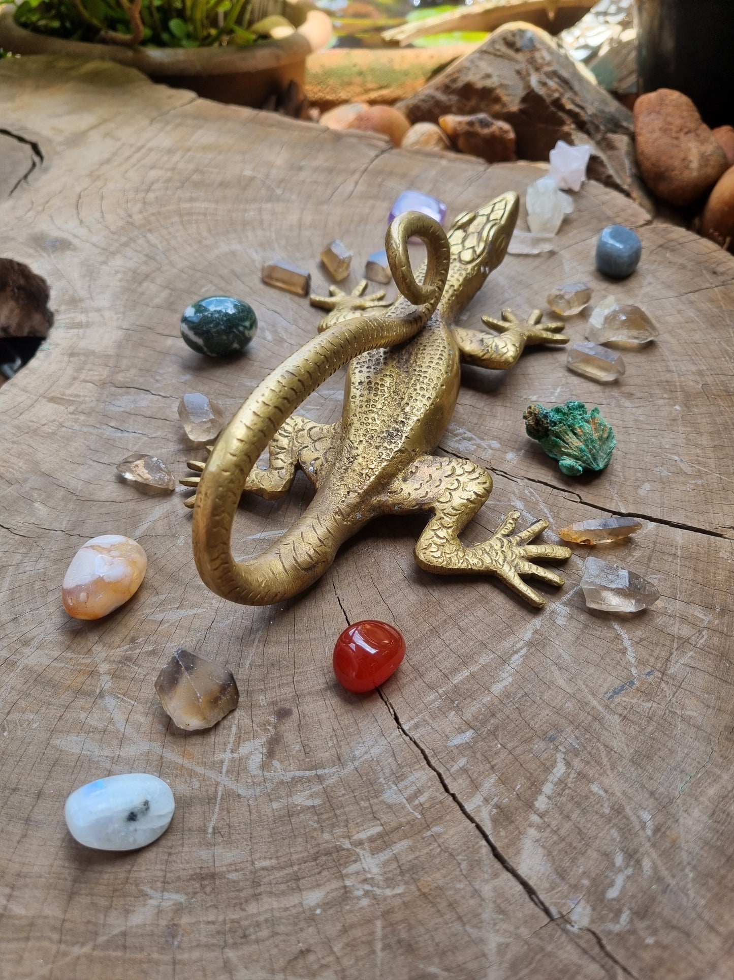 Solid Brass Gecko Door Handle