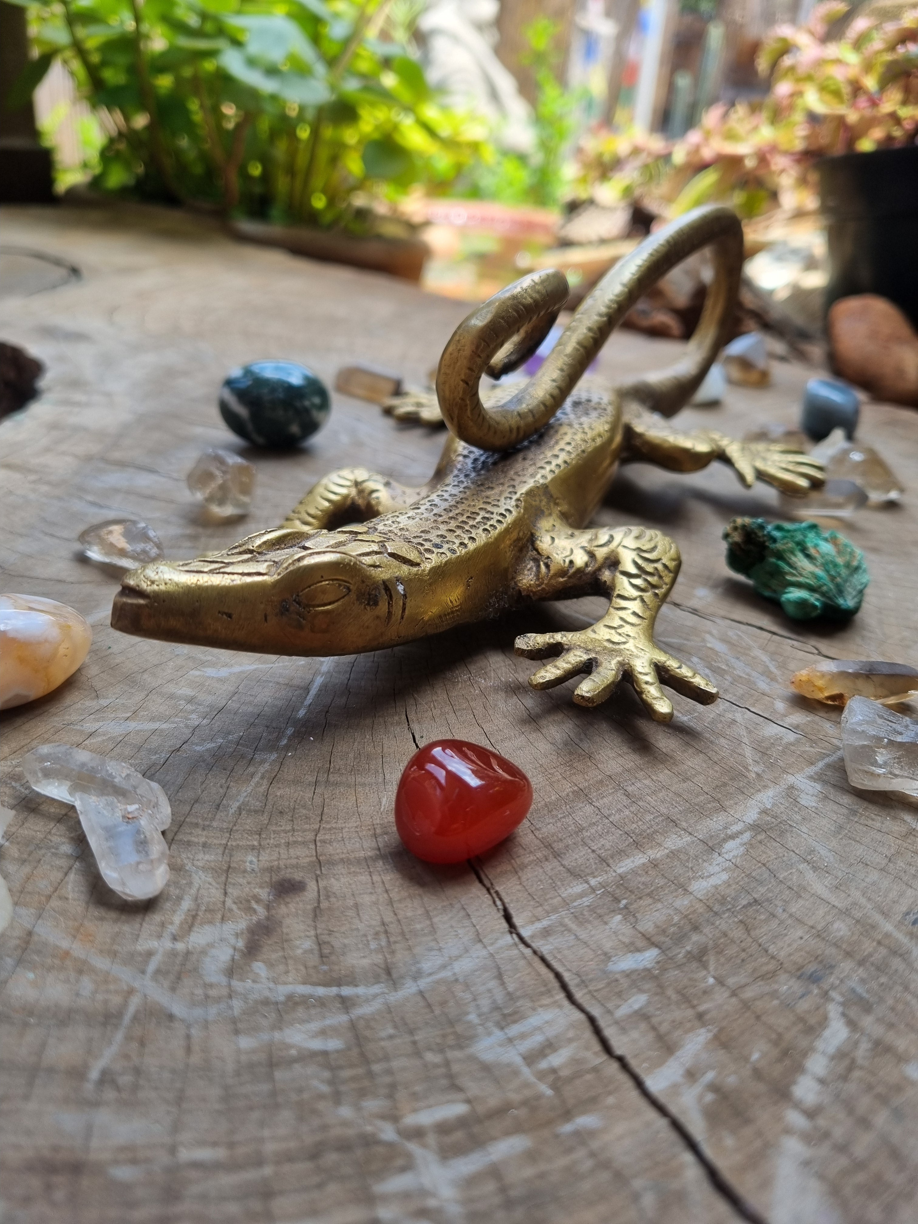 Solid Brass Gecko Door Handle