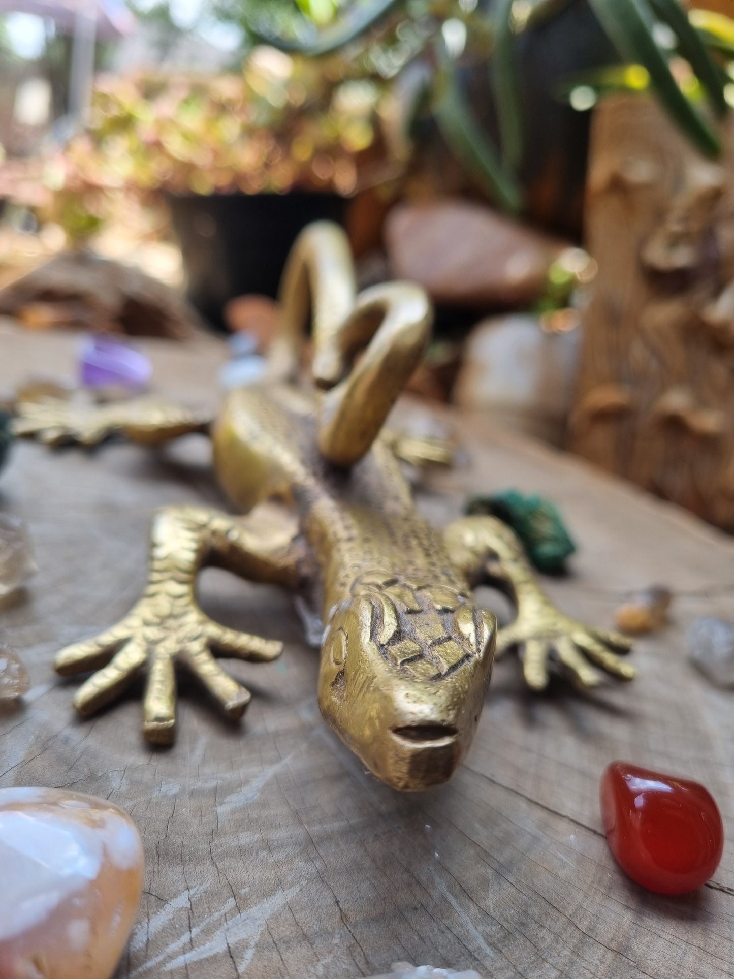 Solid Brass Gecko Door Handle