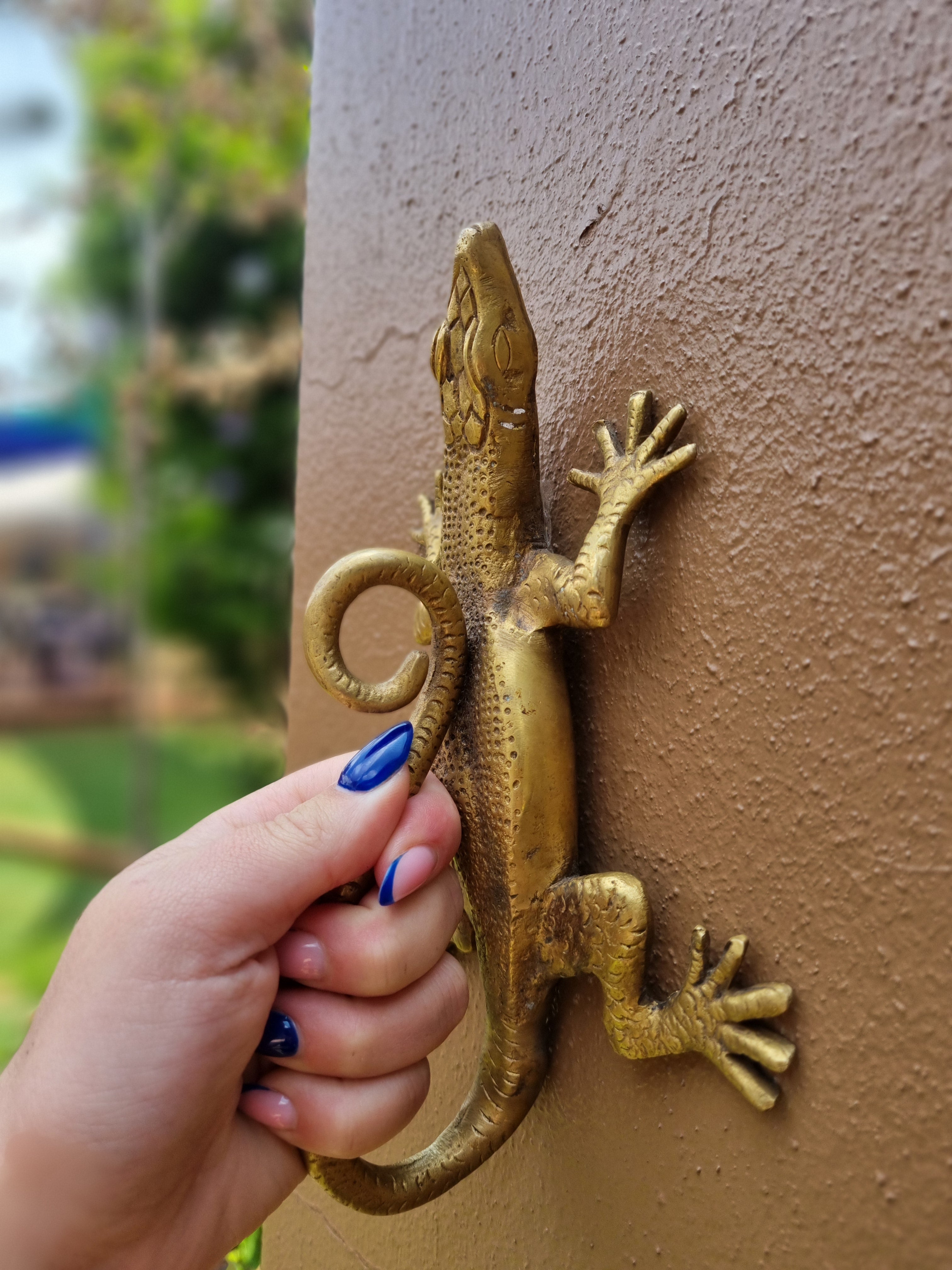 Solid Brass Gecko Door Handle