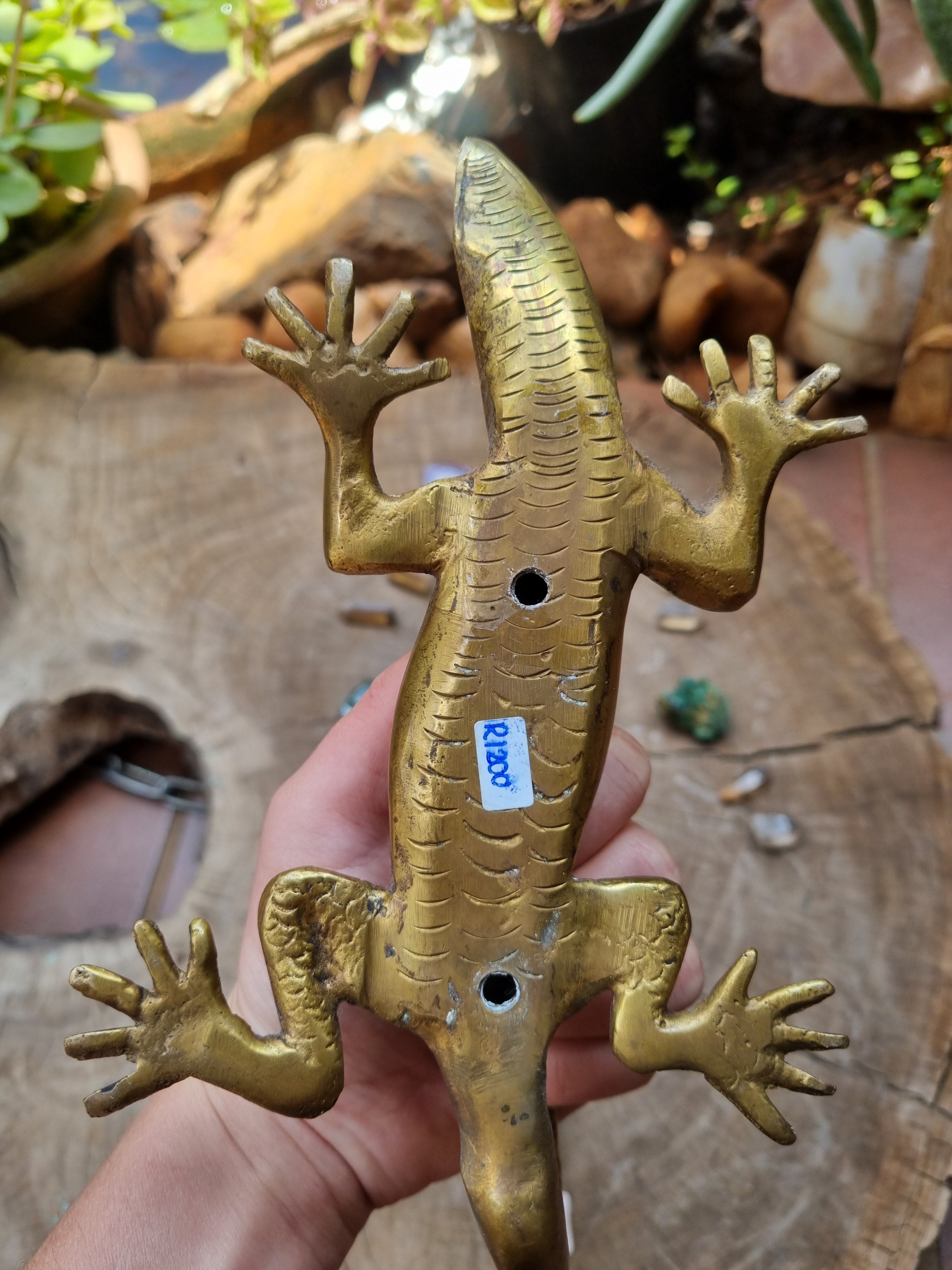 Solid Brass Gecko Door Handle