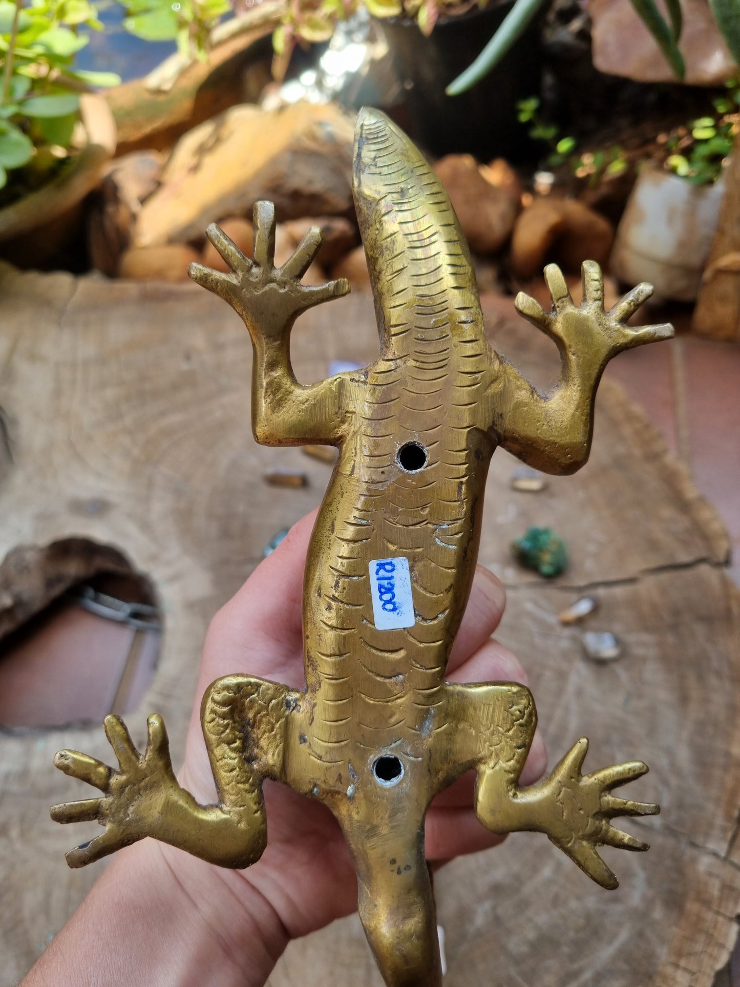 Solid Brass Gecko Door Handle