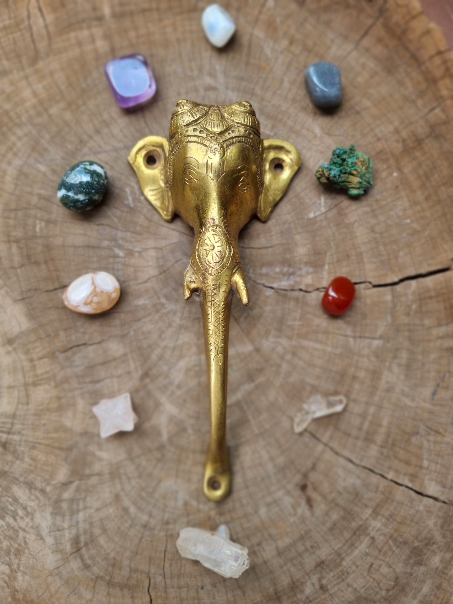 Solid Brass Elephant Door Handle