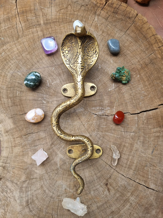 Solid Brass Cobra Door Handle