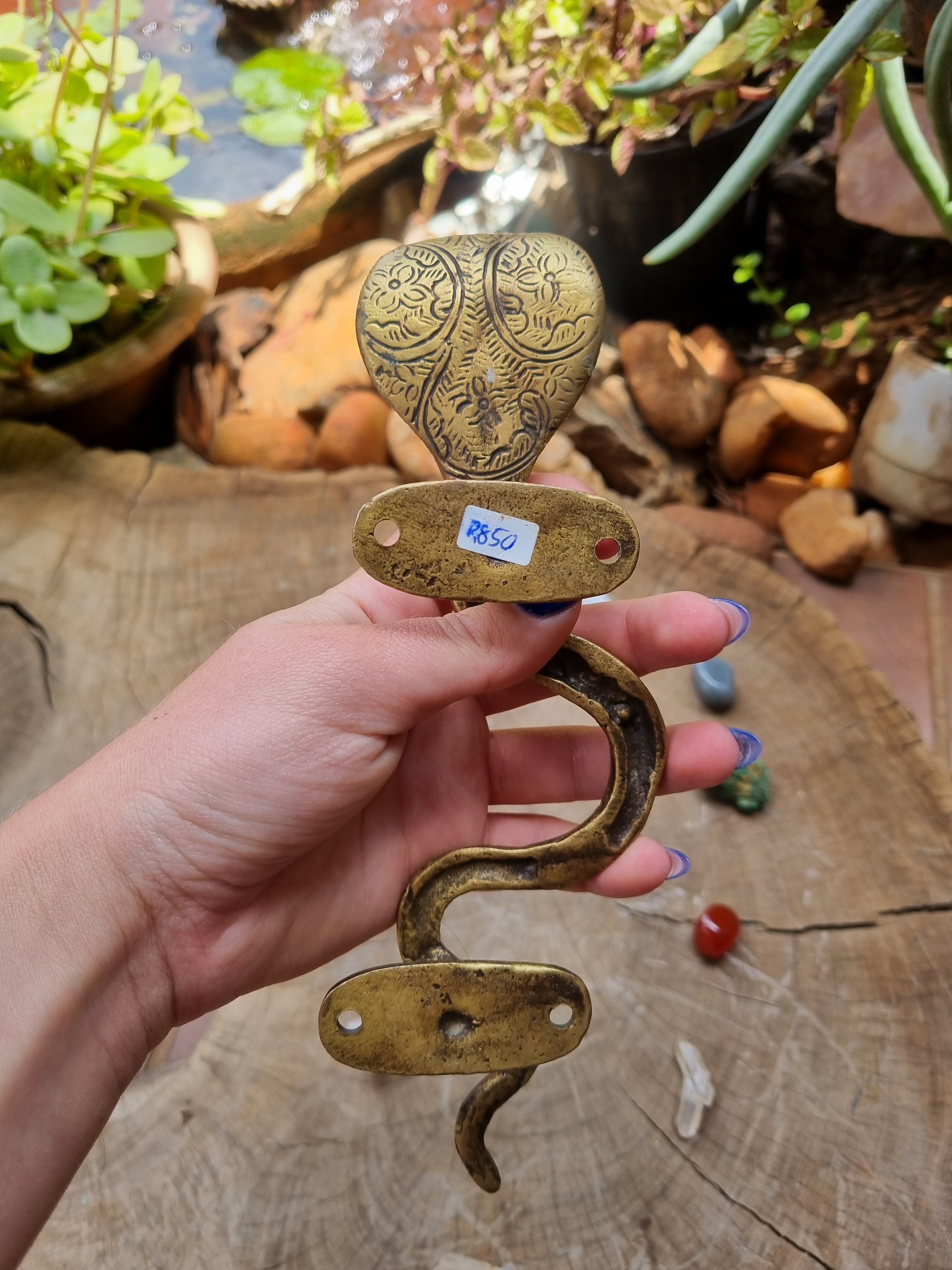 Solid Brass Cobra Door Handle