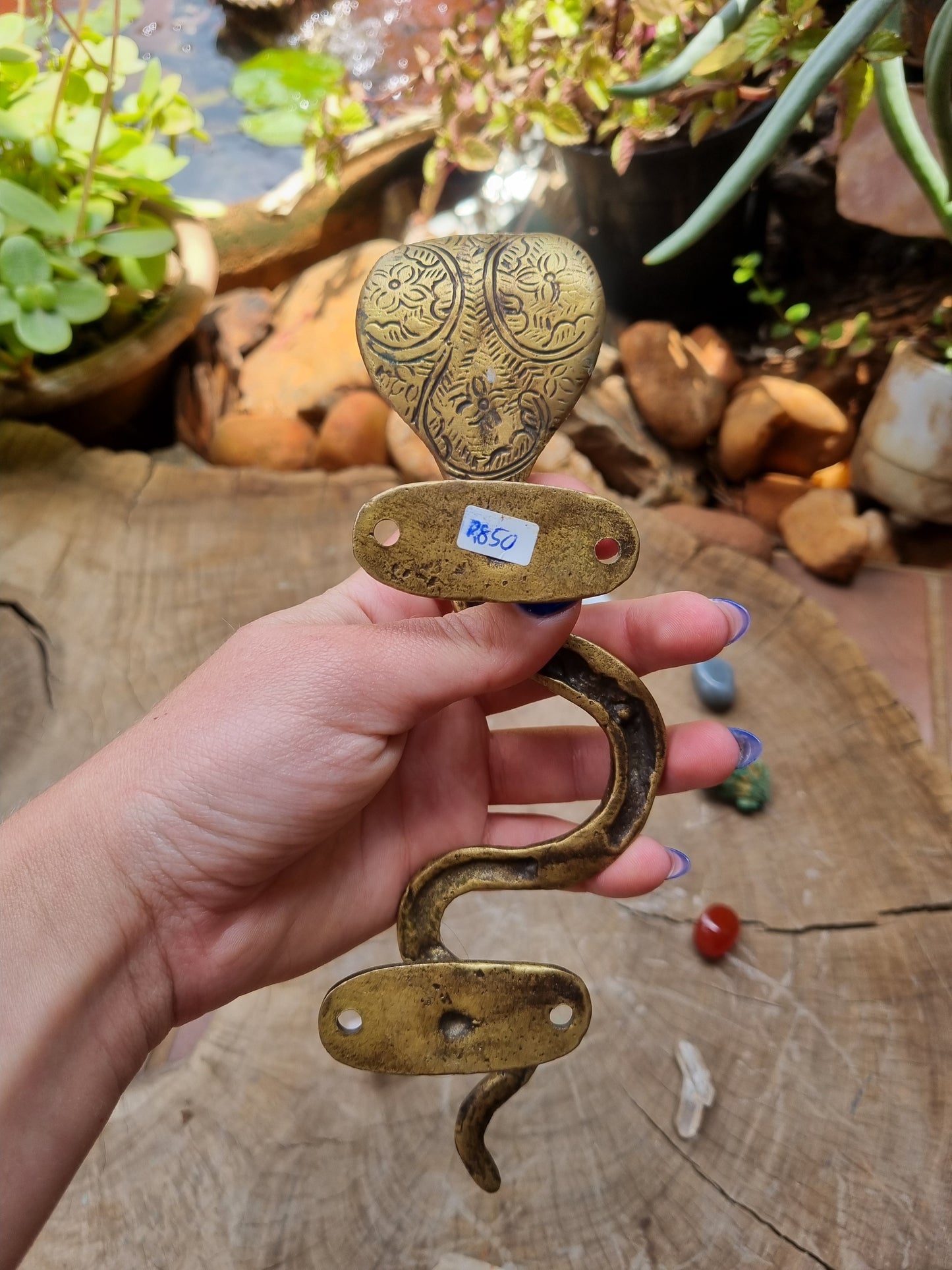 Solid Brass Cobra Door Handle