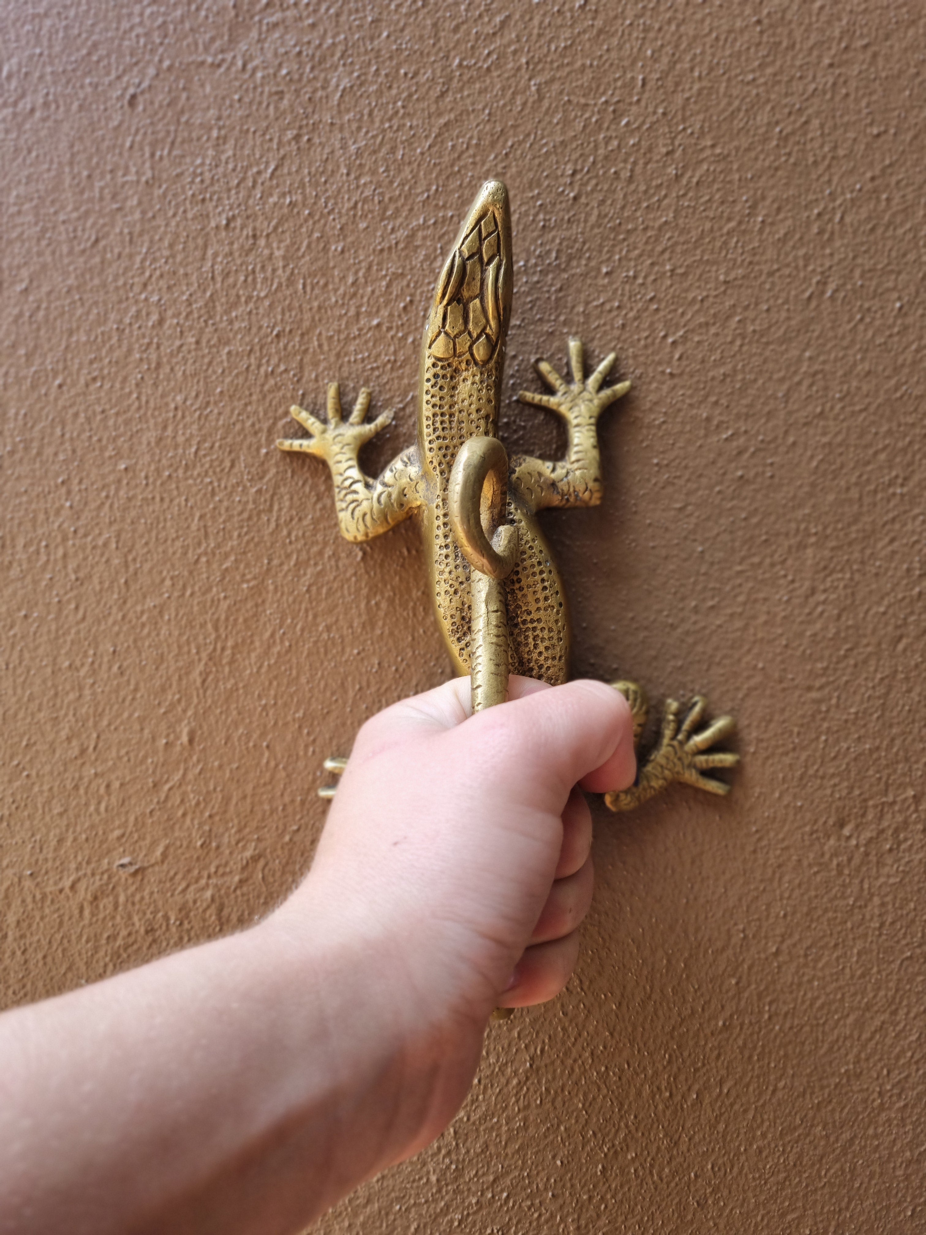 Solid Brass Gecko Door Handle