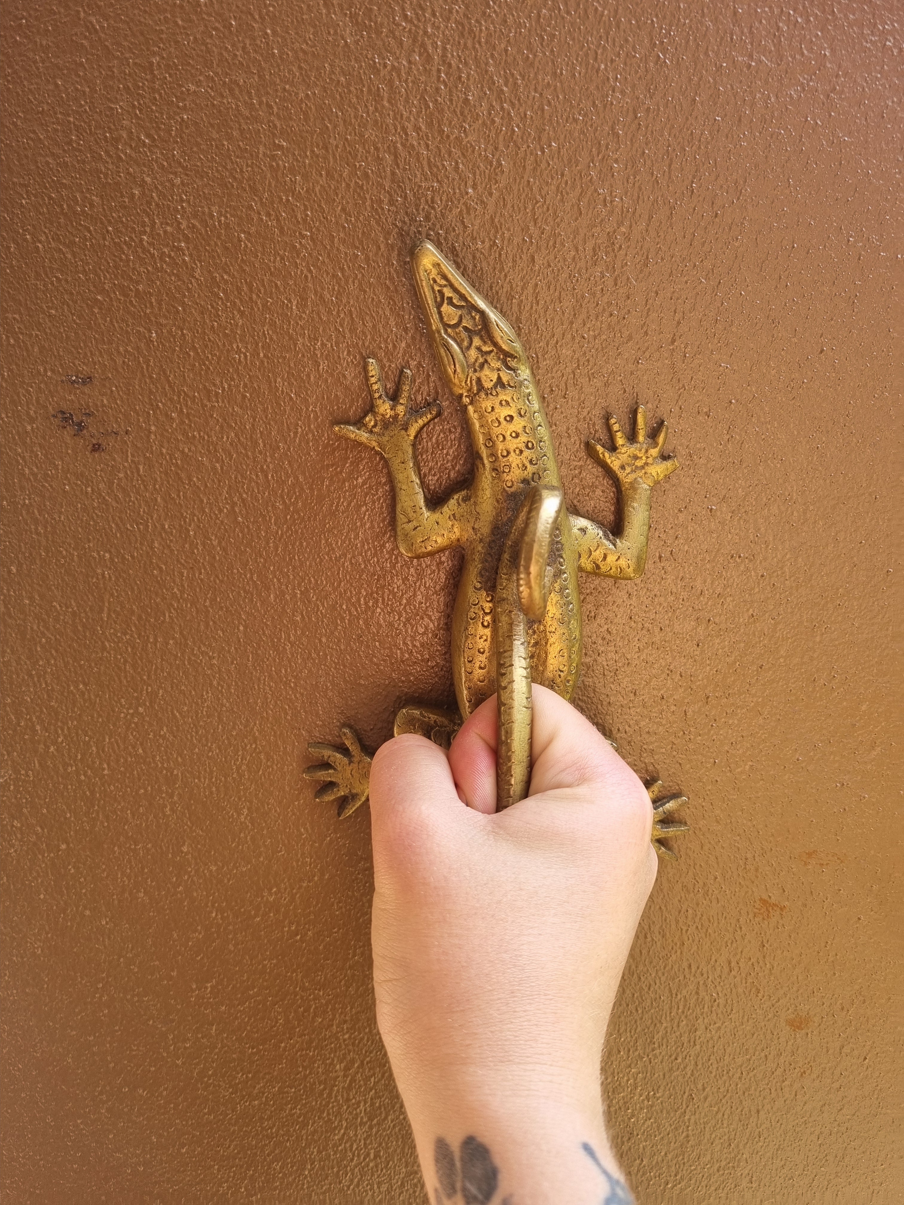 Solid Brass Gecko Door Handle