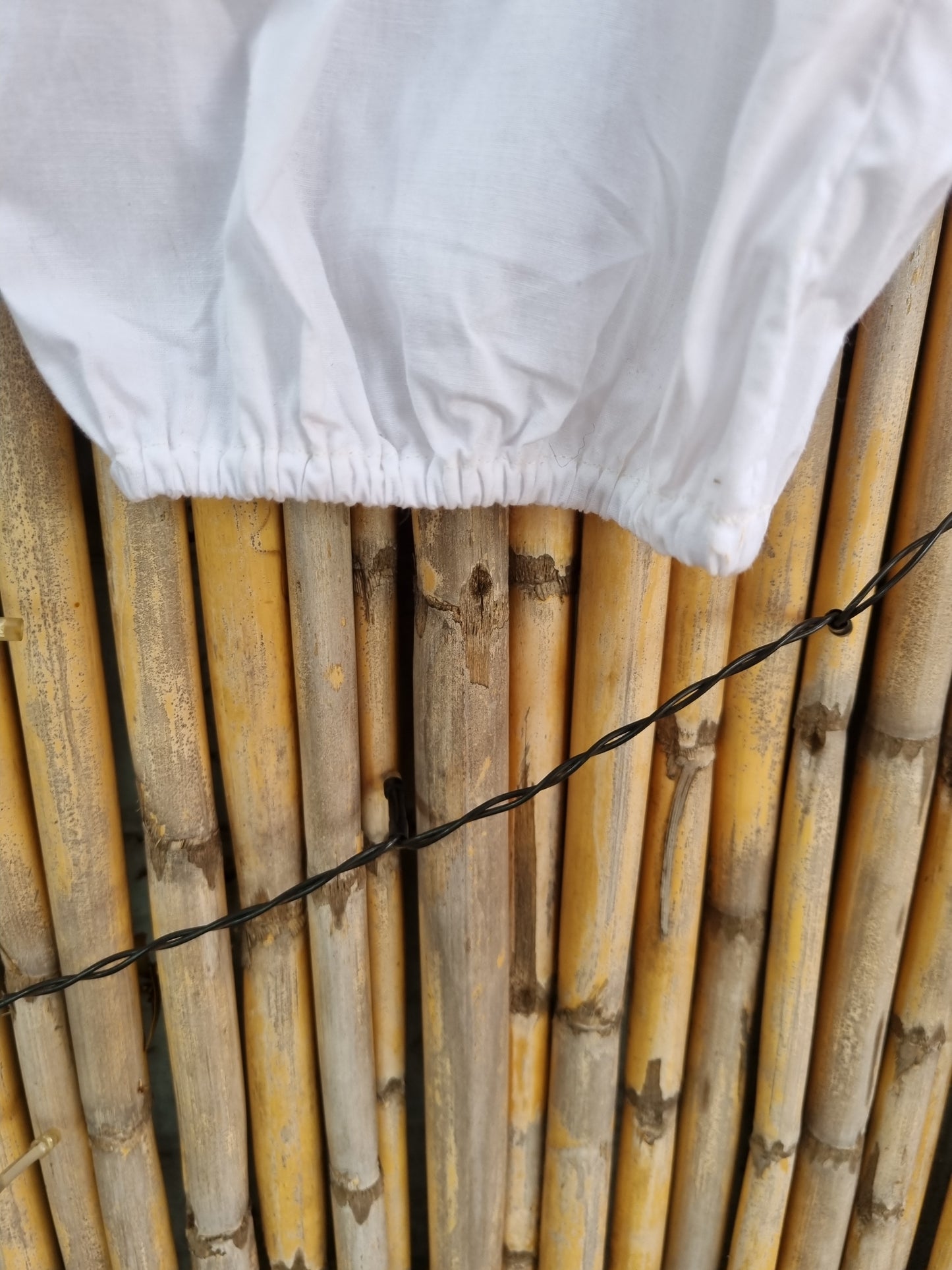 Cotton Alibaba Pants