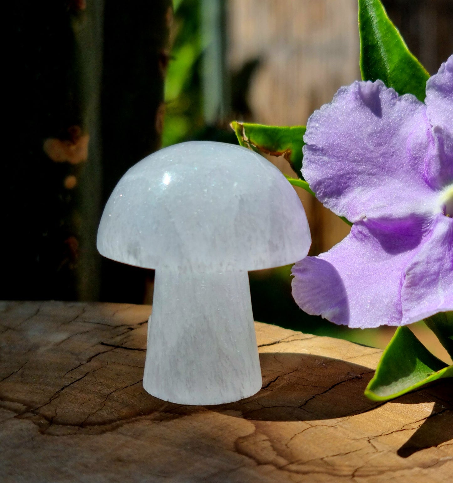 Selenite Mushroom