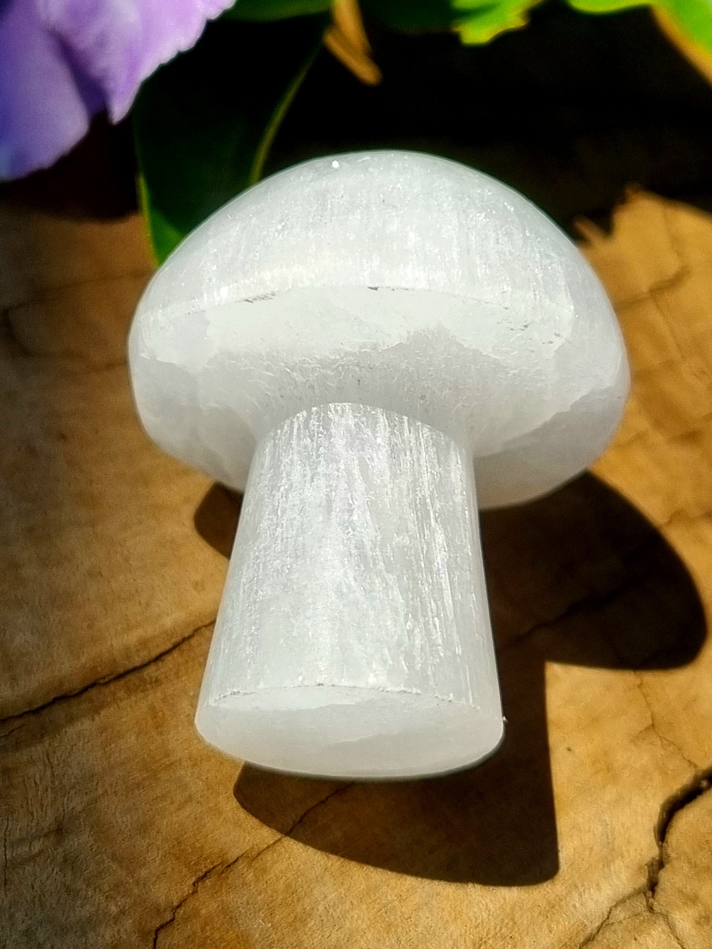Selenite Mushroom