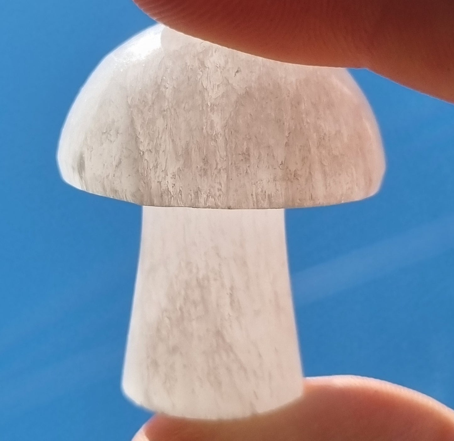 Selenite Mushroom