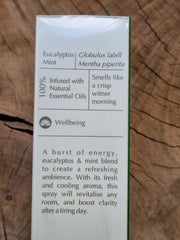 Eucalyptus & Mint Smudge Spray