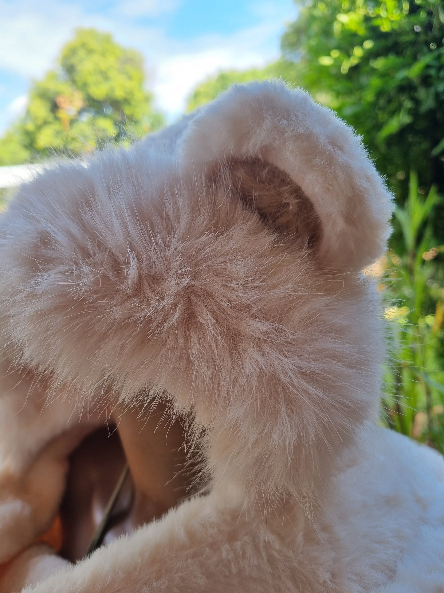 Spirit Hat