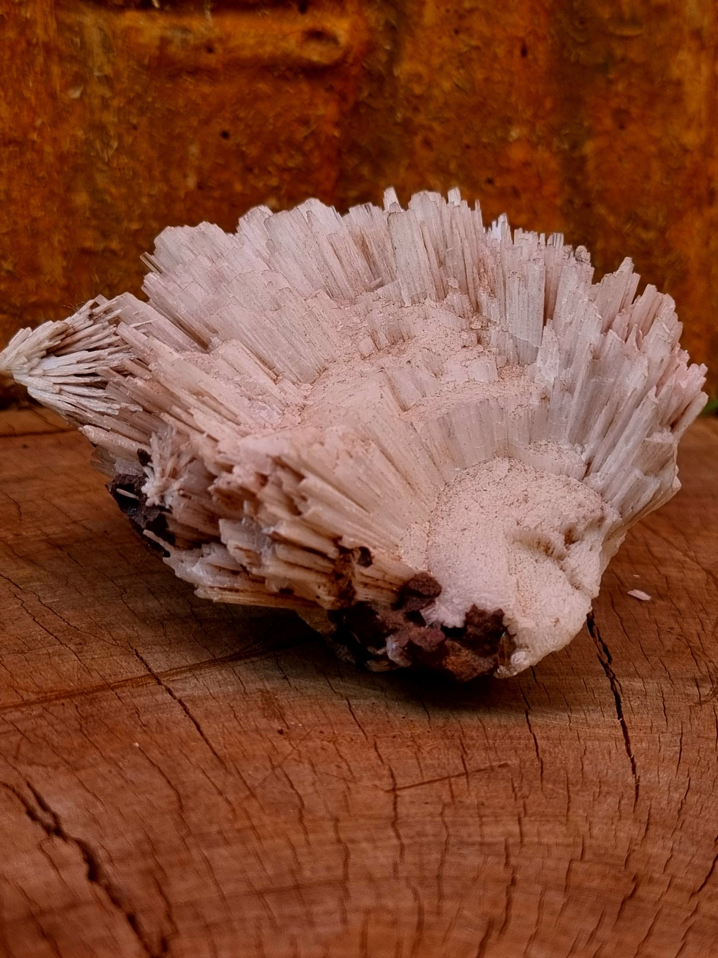 White Aragonite on Matrix