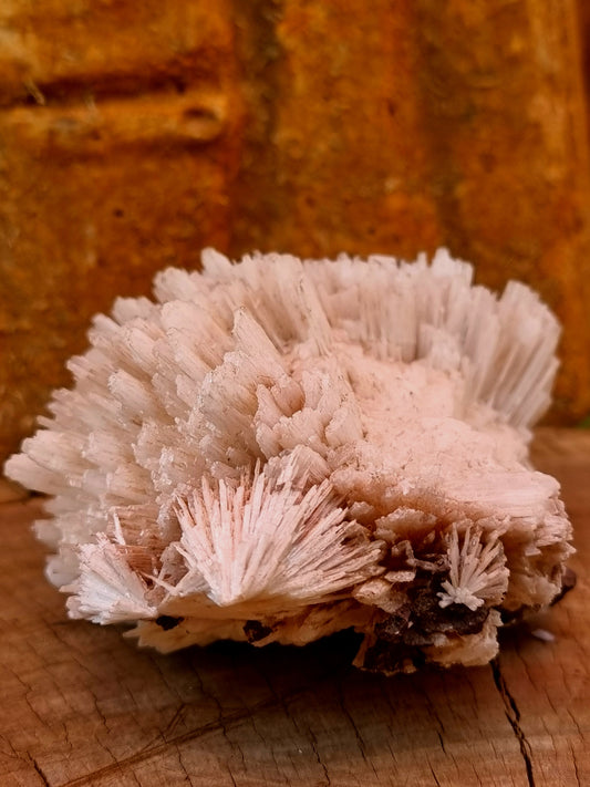 White Aragonite on Matrix