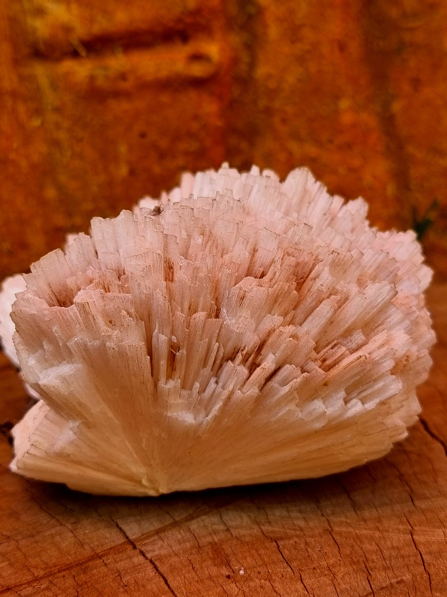White Aragonite on Matrix