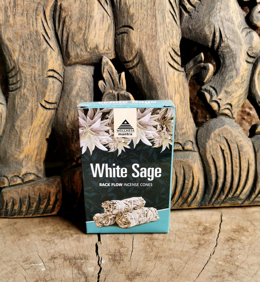 White Sage Backflow Incense Cones